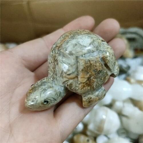 1PCS Natural dragon skull fossil stone carved animal tortoise statue for healing gifts