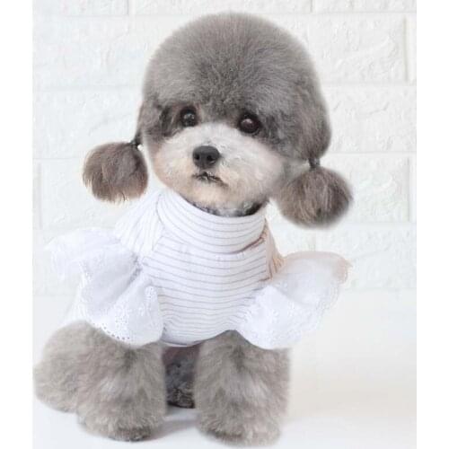 Dog clothes new spring and summer dog clothes pet clothes small dog clothes dog bottoming clothes puppy clothes four seasons