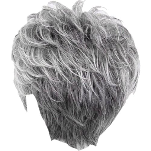 Natural White Gray Straight Short Human Hair Wigs Womens Fashion Wig