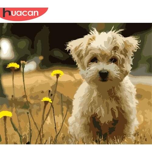 HUACAN Painting By Number Dog Drawing On Canvas DIY Pictures By Numbers Animal Kits Hand Painted Paintings Art Gift Home Decor