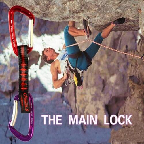 24KN D Shaped Rock Climbing Quickdraw Carabiner Wire Gate Buckle for Arborist Mountaineering Caving Rescue Tree Surgeon