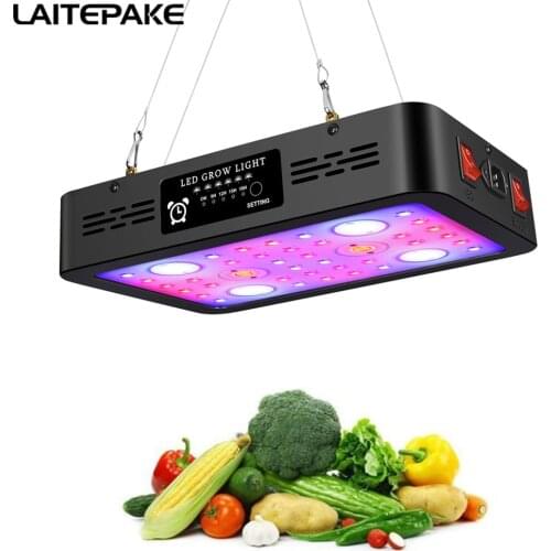 1200W 2400W Led Grow Light Timed COB Plant VEG / BLOOM Full Spectrum Plant Lamp 6500K 430-588NM 630-660NM COB Dual Chip for tent