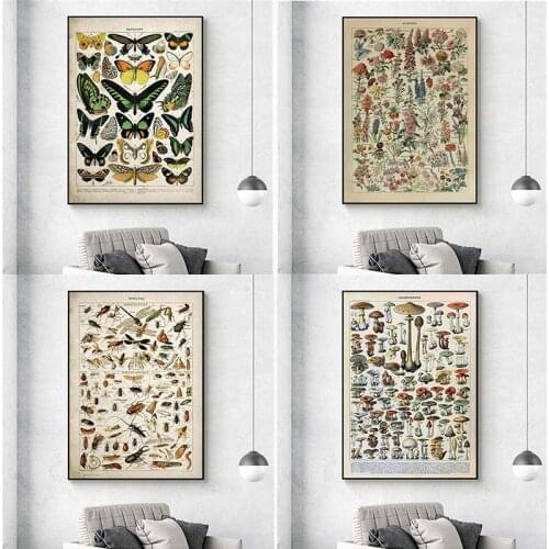 Vintage Adolphe Millot Encyclopedia Posters Prints Butterfly Flowers Insect Canvas Paintings Wall Art Picture Home Decor Cuadros