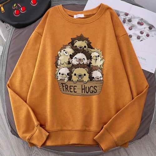 Cute Little Hedgehog Free Hugs Sweatshirts Cartoon Print Man Clothing Warm Cool Men Sweatshirt Famous Brand Korean Mens Hooded