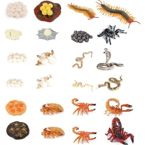 Simulation Animal Action Figure Cycle Centipede Spider Cobra Rattlesnake Scorpion Growth Lift Figurine Gift Educational Toys