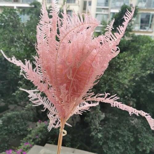 8pcs/30-35cm,Nature Preserved Osmunda japonica bouquet,Eternal Fern leaf DIY glass cover floating flower material Wedding decor