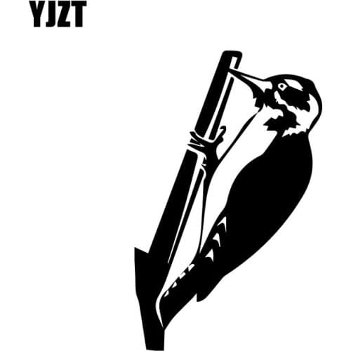 YJZT 10.6CM*17CM Fashion Woodpecker Shadowed Outline Birds & Feathers Vinyl Decal Car Sticker C11-1054
