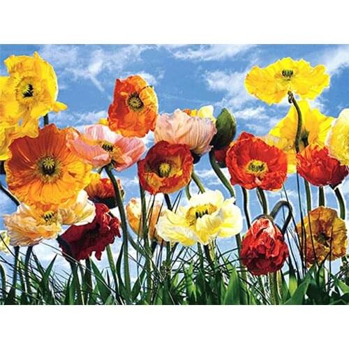 YI Bright 5D DIY Diamond Embroidery Poppy Flower Full Drill Picture Of Rhinestone Diamond Painting Flower Home Decoration