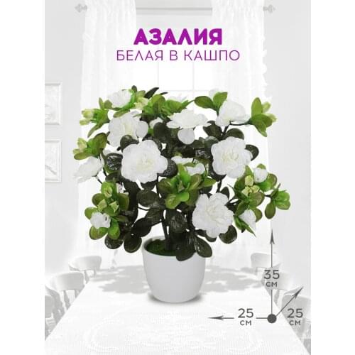 ФитоПарк Home And Garden Products