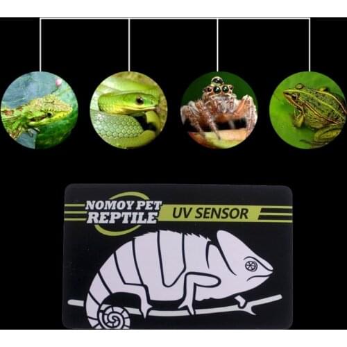 Reptile UVB Light Lamp Bulb Test Card UV Tests Paper Reptiles Terrarium Lamp Life Effective Tester Meter Pet Supplies Retailsale