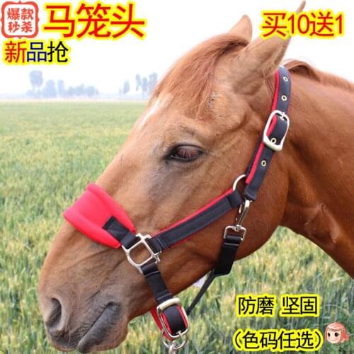 Horse Bridle Wear-resistant Equestrian Supplies Horse Faucet Size Adjusted Strong And Wear-resistant Horse Headstall