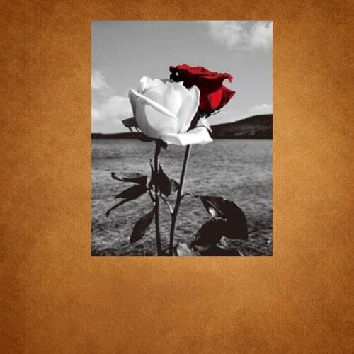 Sexually cold style with thorny white rose and red rose print pattern iron heat transfer sticker on fashionable womens T-shirt