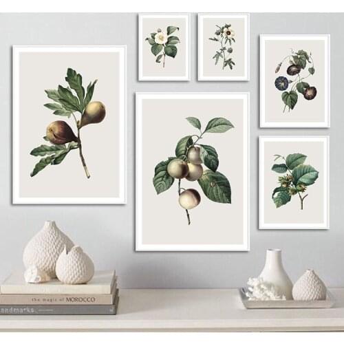 Plant Leaf Fruit Canvas Painting Vintage Botanical Poster Nordic Art Retro Print Flower Wall Picture Modern Home Room Decoration