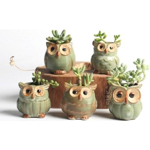 5Pcs/Set Creative Ceramic Owl Flowerpots Cute Succulents Container Planter Office Tabletop Bonsai Home Decoration Flower Pot