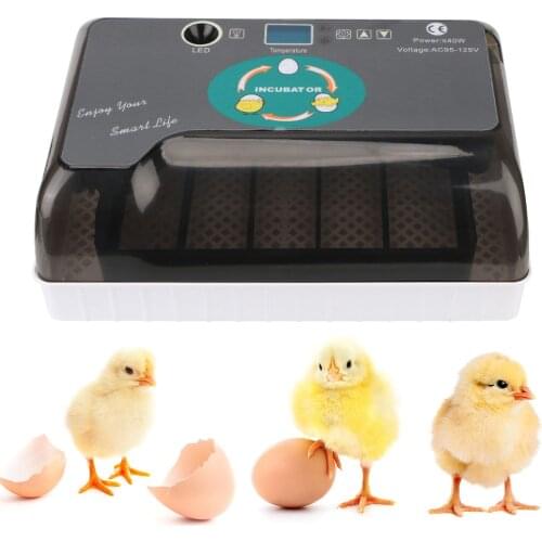 Pet Products Farm Hatchery Cheap Price Chicken Bird Quail Brooder 4-35 Egg Hatchers Automatic Eggs Incubator