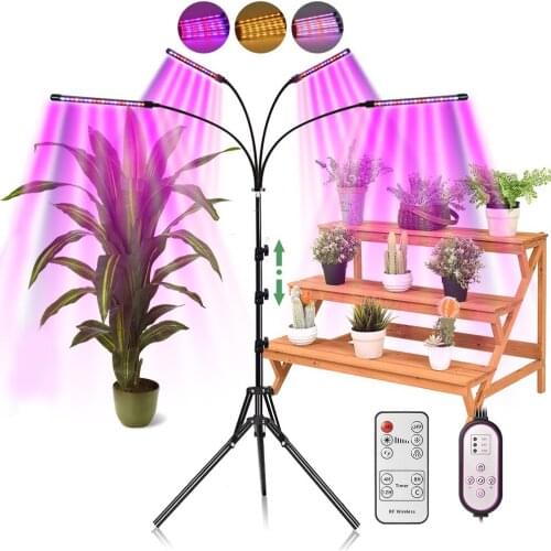 PIEN LED Plant Lamps