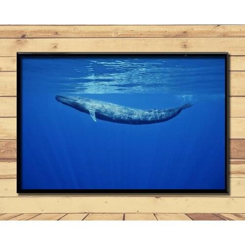 Humpback Whale Ferocious Giant Marine Animal (14) Wall Posters Prints Silk Art Painting For Home Wall Bedroom Decor