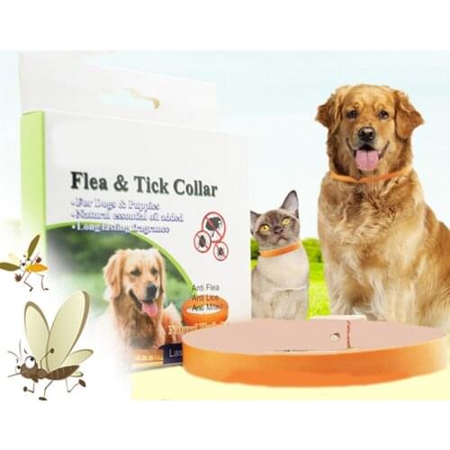 New Dog Cat Anti Tick Fleas Chewing Lice Sarcoptic Mange Quick Kill Repel Remover Protection Collar Necklace