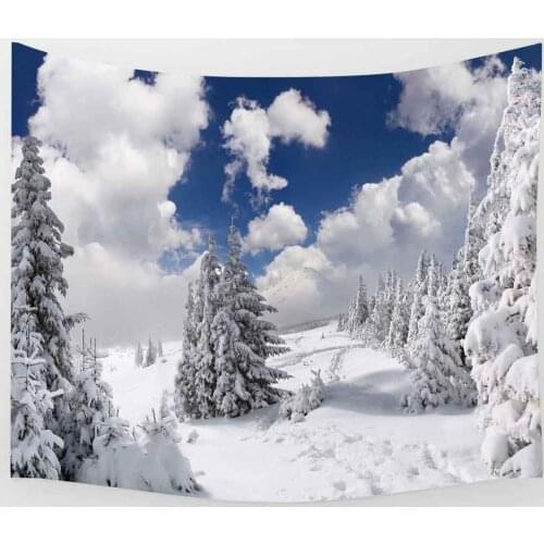 Simsant Winter Snow Tapestry Blue Sky and White Cloud Art Wall Hanging Tapestries for Living Room Home Dorm Decor