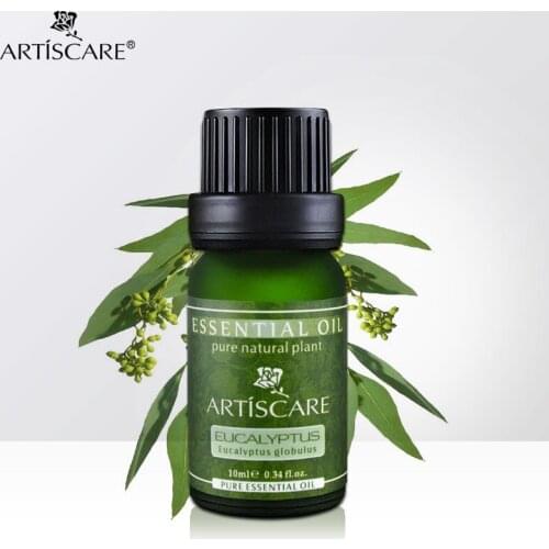 ARTISCARE Eucalyptus Pure Essential Oil 10ml Anti-Inflammatory And Clean Air Refreshing Skin Clean Wound Skin Care Massage Oil