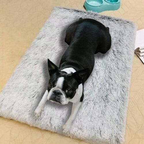 Plush Sponge Pet Dog Bed Cushion Blanket Soft Fleece Cat Cushion Puppy Chihuahua Sofa Mat Pad Mattress For Small Large Dogs