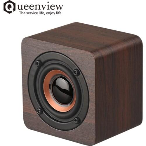Queenview Audio Speakers