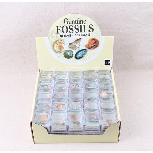 50 Boxes Natural Crystal Ore Specimen Mineral Rock Geography Teaching Materials Mineral Specimen Gift for Kids Biological Fossil