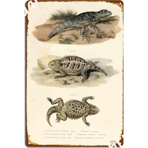 Joseph Fitzinger 1867 0043 Picture Atlas For Popular Scientific Natural History Of Vertebrates Metal Sign