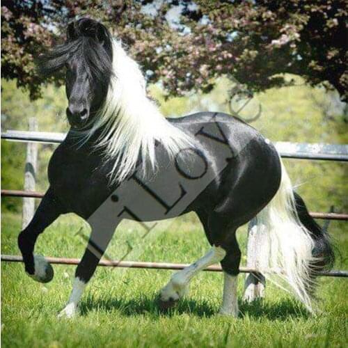 Diamond Mosaic DIY Diamond Painting Cross Stitch Animal horse Full Square Diamond Embroidery Wall Sticker Decor Paintings FZ722