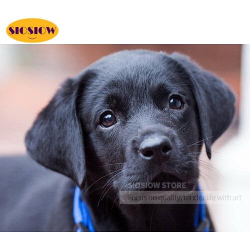 SIOSIOW Diamond Embroidery Dog Mosaic Picture Rhinestones Diamond Painting Animal Dogs Cub Full Set Square Beaded Art Rhinestone