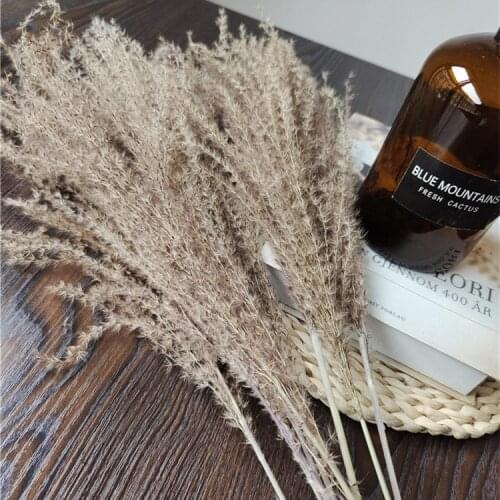30pcs/45cm,Natural Bulrush Grass Dried Flowers Branch,Eternell Buddha dust Pampas Reed Wedding Party Home Decoration accessories
