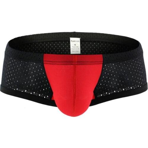 New Underwear Mesh Men Boxer U Pouch Sexy Underpants Cueca Nylon Pants Low Waist Trunks Boxer Shorts Gay Male Panties