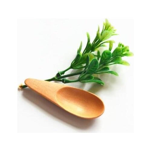 100pcs Child Milk Powder Wooden Spoon Ice Cream Milkshake Spoon Mini Sugar Spoon Salt Wood Spoons Kitchen Gadgets