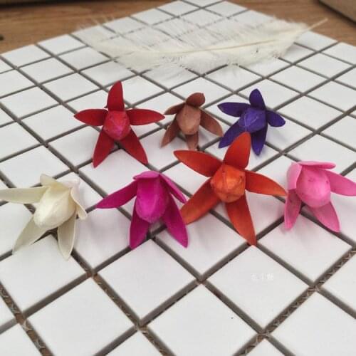 Yongsheng Flower Lily Dried Flower Car Yongsheng Flower Magnolia Flower Gift Box Accessories Flower DIY Material Package