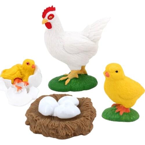 Life Cycle of a Hen Chick, Nature Insects Life Cycles Growth Model Game Prop,Simulation Insect Animal Natural Education Toy