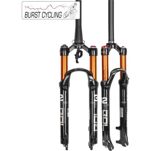 GISAEV Bicycle Forks