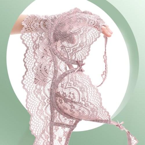 Pink Floral Lace Transparent Bra And Panties Womens Sexy Lingerie Plus Size See Through Mesh Push Up Underwear Women Sets Blue