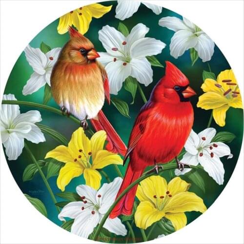 Embroidery Counted Cross Stitch Kits Needlework - Crafts 14 ct DMC Color DIY Arts Handmade Home Decor - Cardinals in the Round