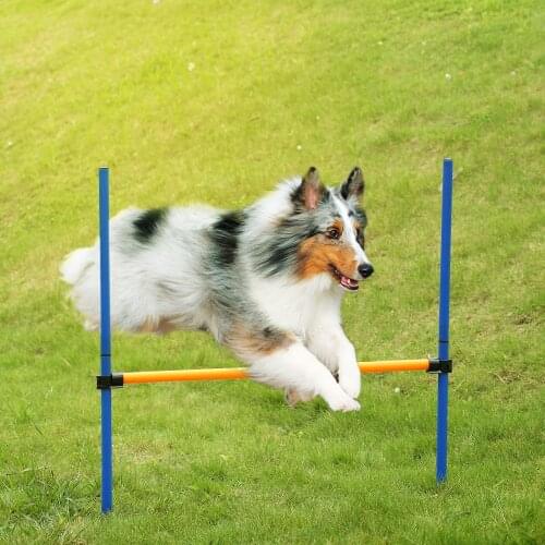 DADYPET Trainers For Dogs