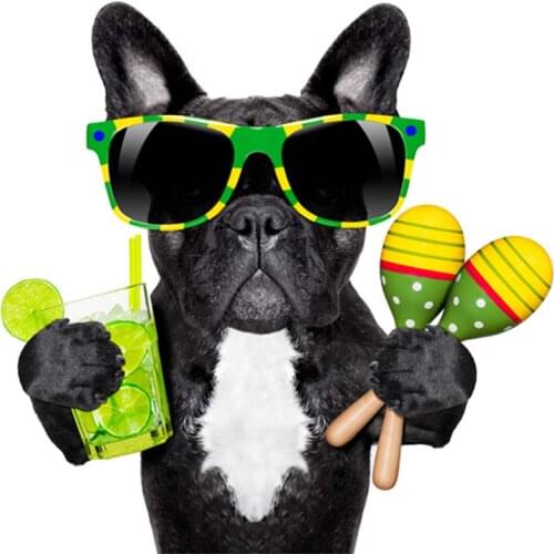 Sport Dog Thermal Stickers Heat Transfer Appliqued Diy Vinyl Tops Fashion Appliques On Clothes Summer T-Shirt Jeans Patch