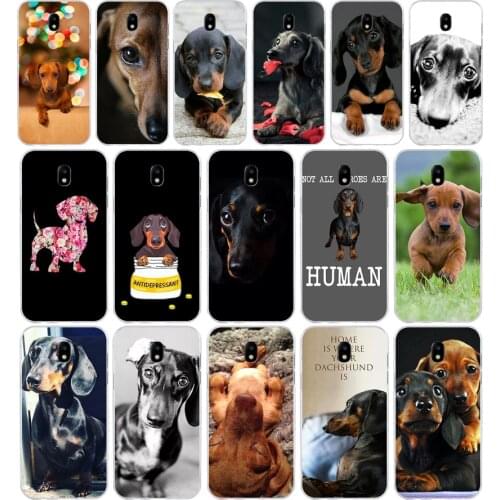 145SD Dachshund Teckel Dackel Dog Soft Silicone Tpu Cover phone Case for Samsung j3 j5 j7 2015 2016 17 j2 prime j6 Plus 2018