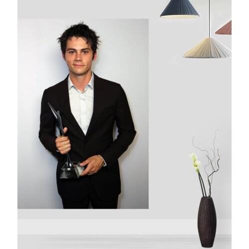 Modern Picture Dylan O'brien Poster Paintings For Living Room Wall Art Silk Fabric Cloth Decoration Poster For Children Gift