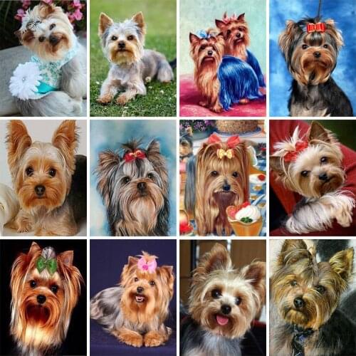 EverShine 5D Diamond Painting Full Square Dog Diamond Mosaic Animals Cross Stitch Kits Rhinestones Art Handmade Home Decoration