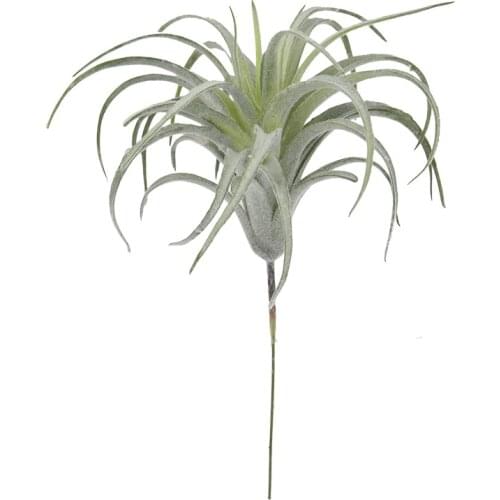 Tillandsia Plants Artificial Flocking Fake Bromeliads Air Plants Hanging Simulation Plant For Home Decoration