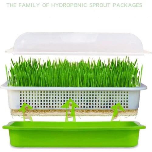 2-Piece Seed Germination Tray Seed Germination Tray with Lid Soilless Cultivation with Drainage Holes