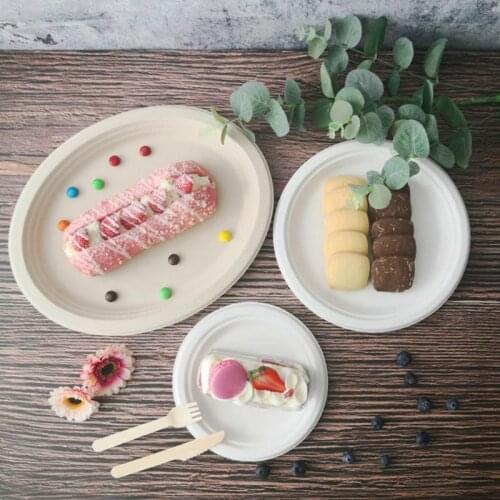 50Pcs/bag 6"/7"/9"/10" Round Compostable Plates Biodegradable Bagasse Disposable Plate for Restaurants Party Food Holder Supply