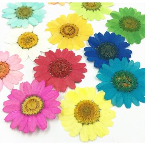 12Pcs Colorful Chrysanthemum Dried Flowers Resin Mold Fillings for Beauty Nail Art Decals Epoxy Resin Mold Jewelry Making