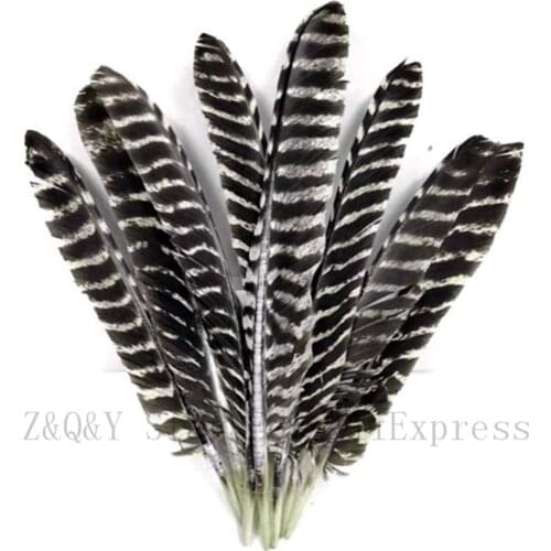 10-100 natural complete 30-40CM (12-16 inches) natural flower turkey sword forest DIY jewelry craft accessories feather