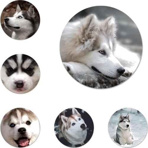 Funny Siberian Husky Dog Refrigerator Magnet Bottle Opener Beer Coke Sue Bottle Opener