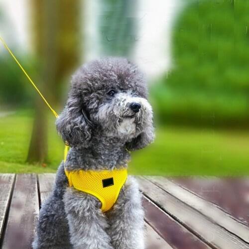 Pet Dog Harness Leash Adjustable Leash For Small Medium DogTraining Vest Collar Dogs Outdoor Walking Harness Pet Supplies